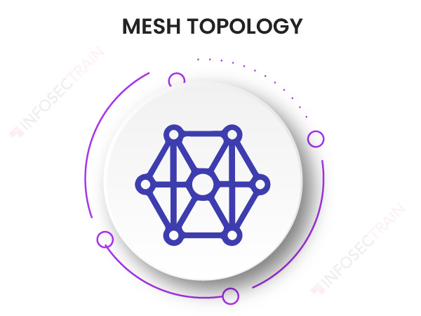 Mesh Topology