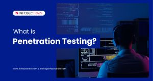 What is Penetration Testing?