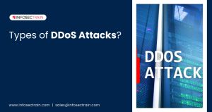 Types of DDoS Attacks